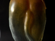 Vulpus
