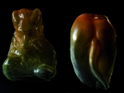 Lupus et vulpus - 2004